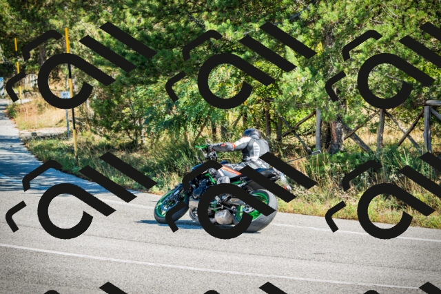 202509271140-DSC00498_c1_