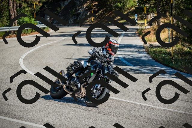 202509271147-DSC00528_c1_