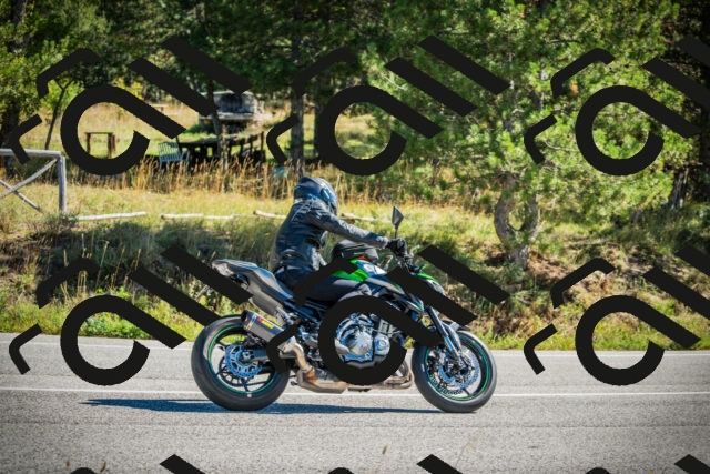 202509271148-DSC00543_c1_