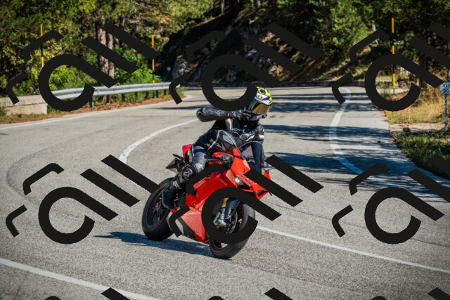 202509271150-DSC00559_c1_