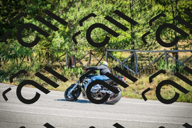 202509271151-DSC00575_c1_