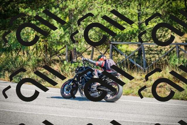 202509271152-DSC00580_c1_