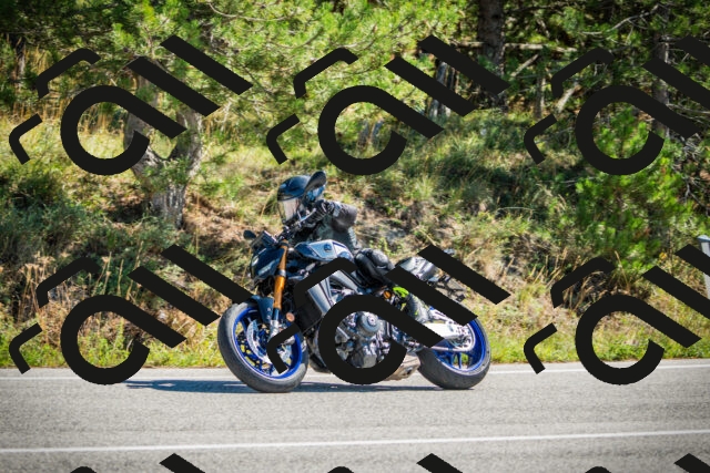 202509271153-DSC00586_c1_