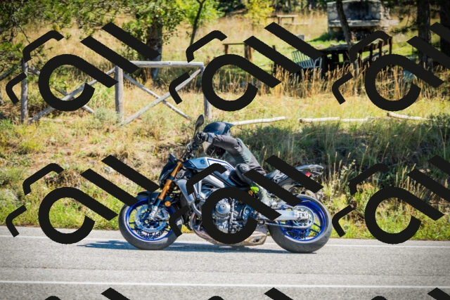 202509271153-DSC00587_c1_