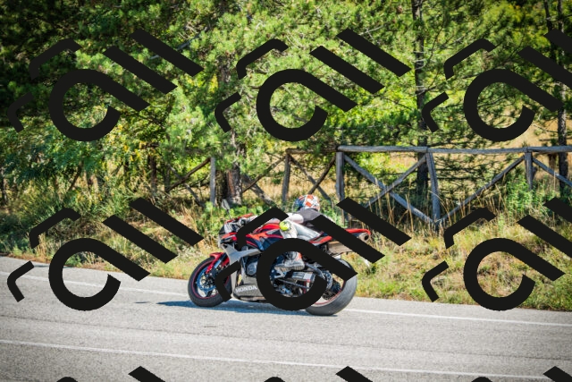 202509271153-DSC00591_c1_