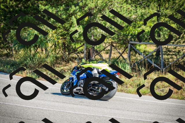 202509271153-DSC00596_c1_