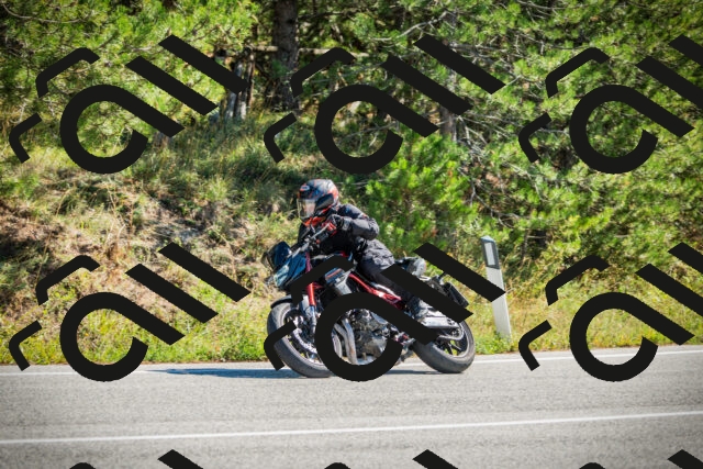 202509271154-DSC00600_c1_