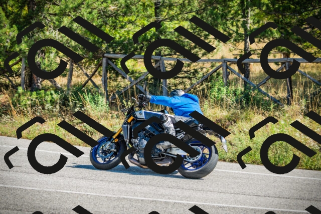 202509271154-DSC00606_c1_