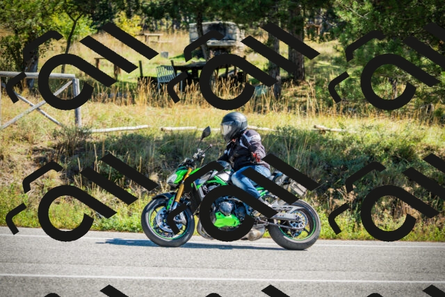 202509271154-DSC00612_c1_