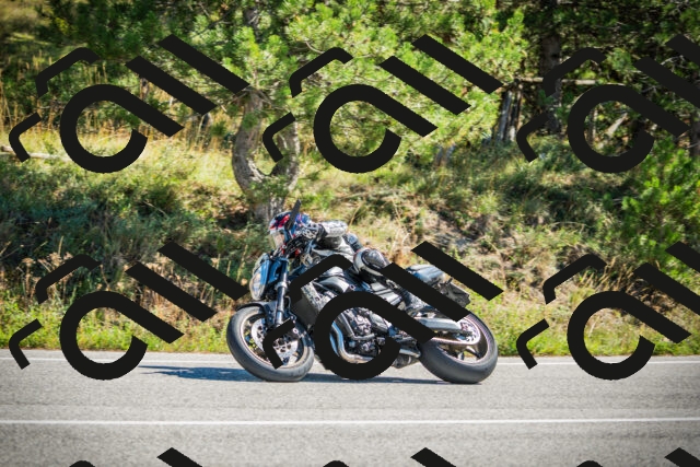 202509271155-DSC00626_c1_