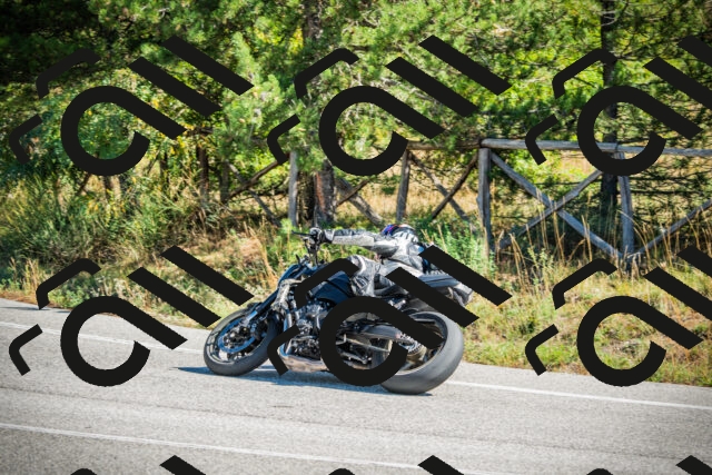 202509271155-DSC00628_c1_