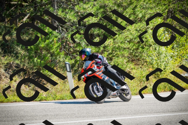 202509271158-DSC00648_c1_