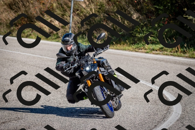 202509271051-DSC_6308_c2