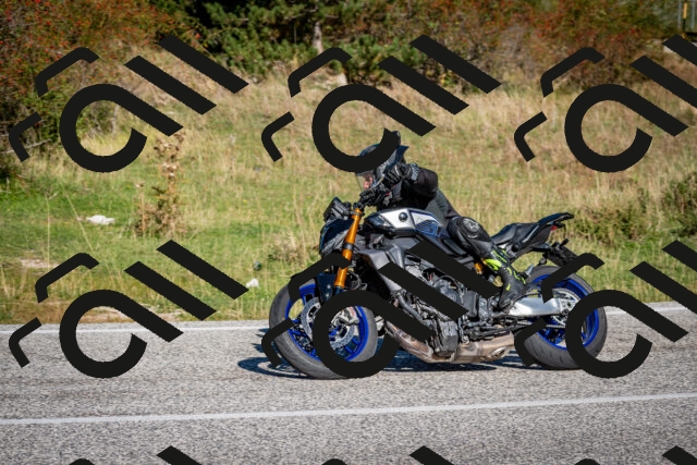 202509271051-DSC_6310_c2