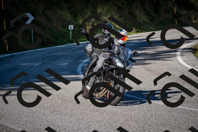 202509271054-DSC_6319_c2