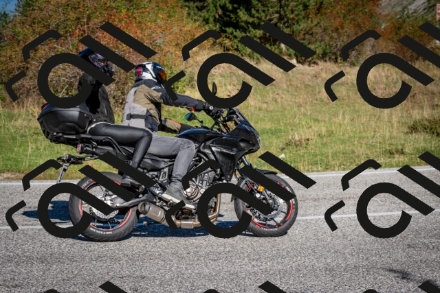 202509271054-DSC_6321_c2