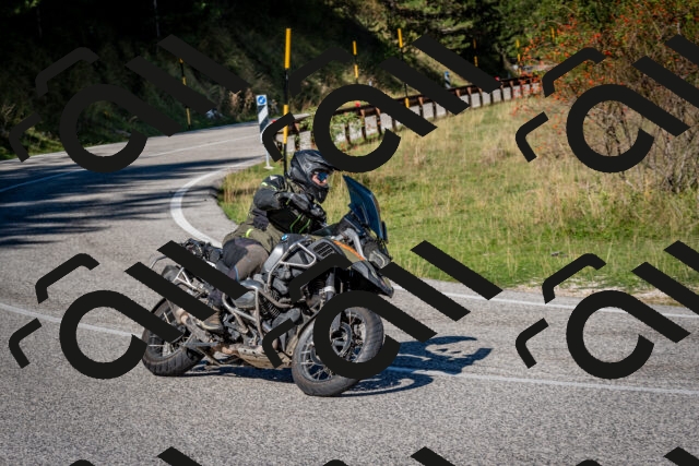 202509271056-DSC_6323_c2