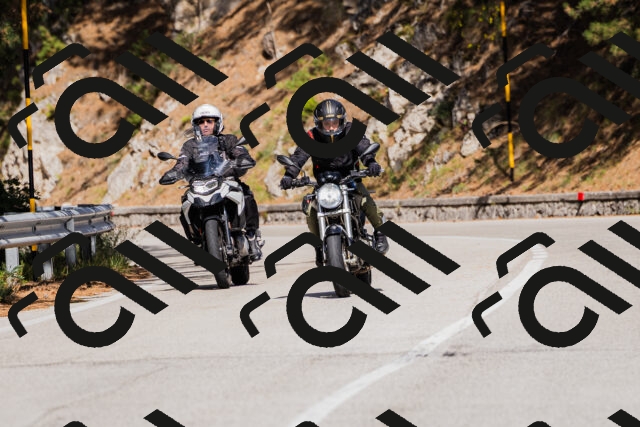 202509271436-_04A0187_c3