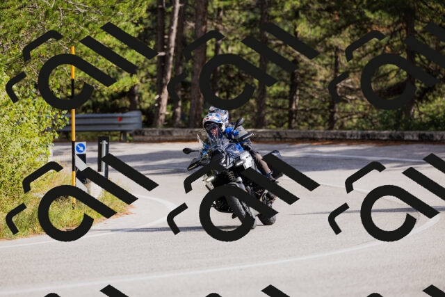 202509271438-_04A0199_c3