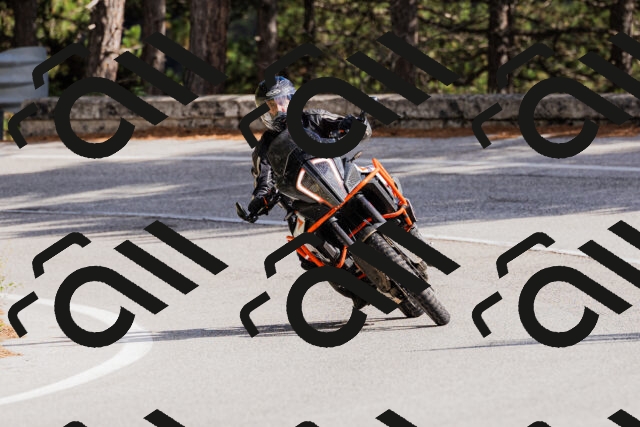 202509271445-_04A0213_c3