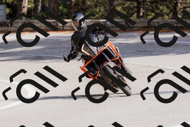 202509271445-_04A0214_c3