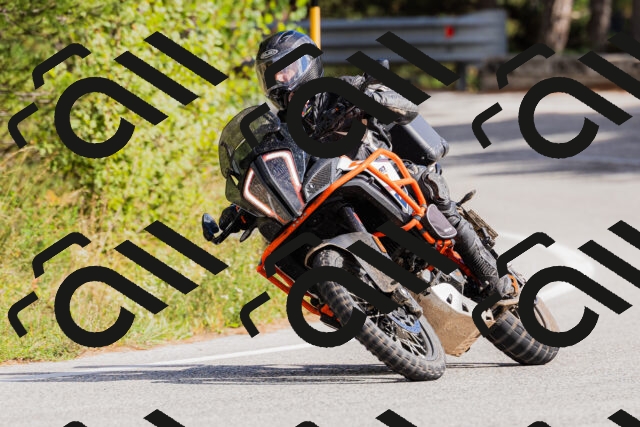 202509271445-_04A0216_c3