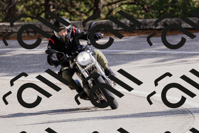 202509271445-_04A0220_c3