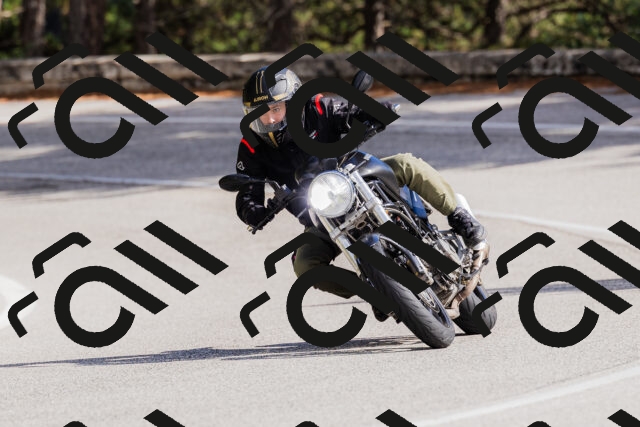 202509271445-_04A0222_c3