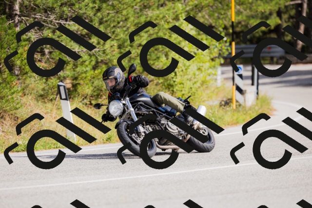 202509271445-_04A0224_c3