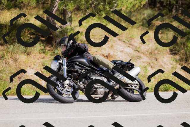 202509271445-_04A0225_c3