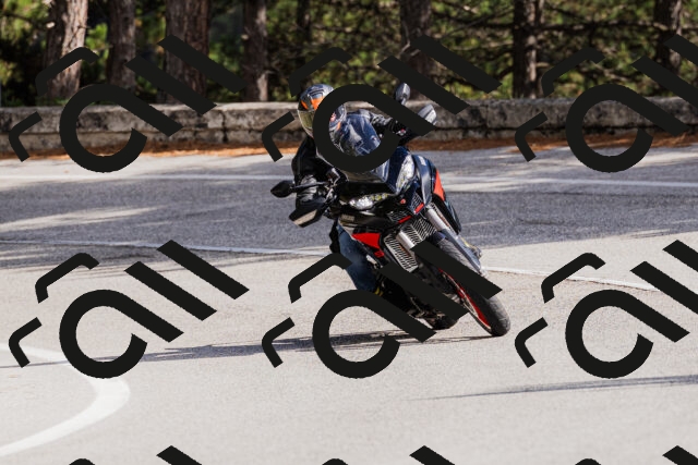 202509271447-_04A0227_c3