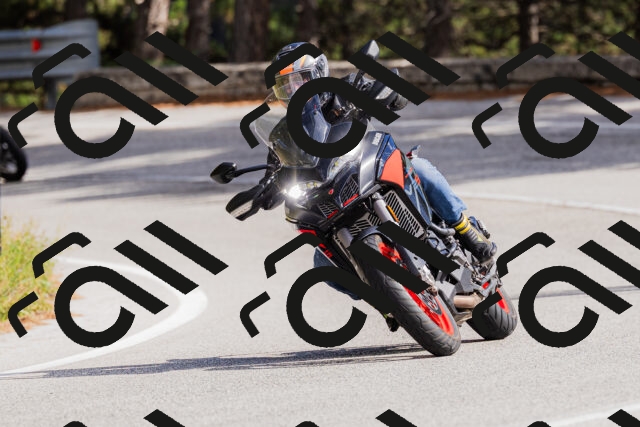 202509271447-_04A0229_c3