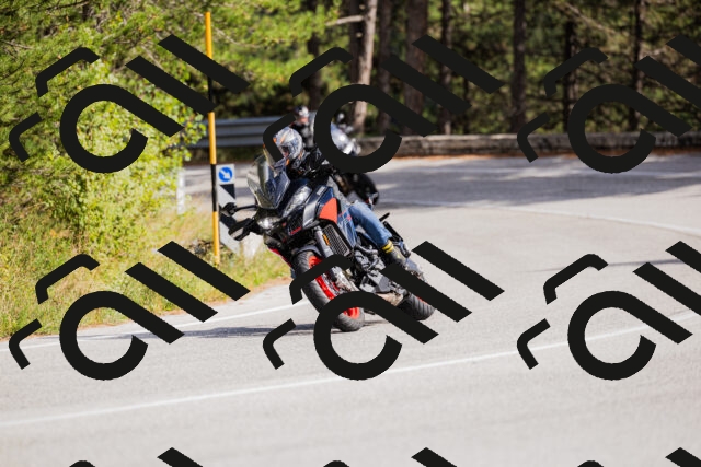 202509271447-_04A0230_c3