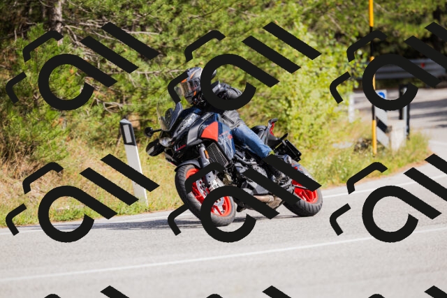 202509271447-_04A0231_c3