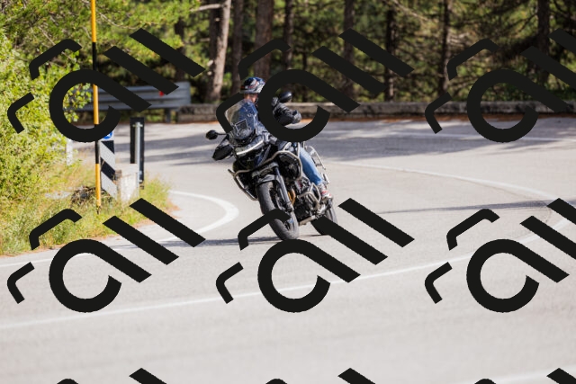 202509271447-_04A0233_c3