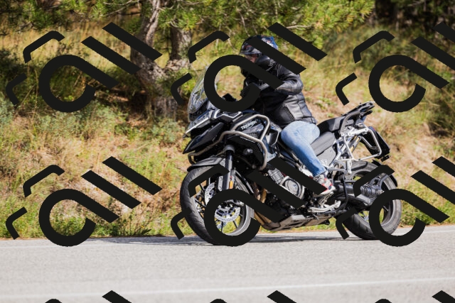 202509271447-_04A0236_c3