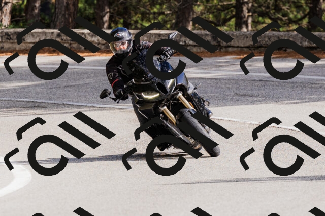 202509271450-_04A0237_c3