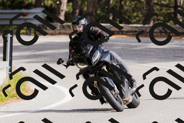 202509271450-_04A0239_c3