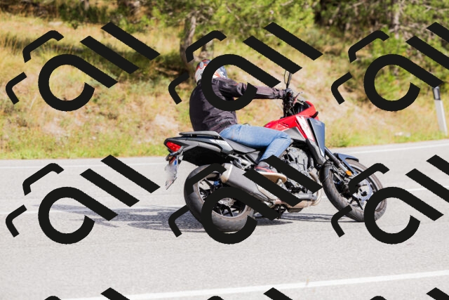 202509271452-_04A0248_c3