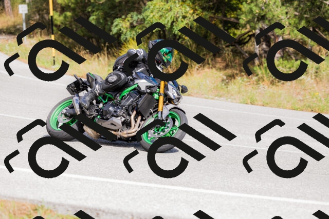 202509271453-_04A0255_c3