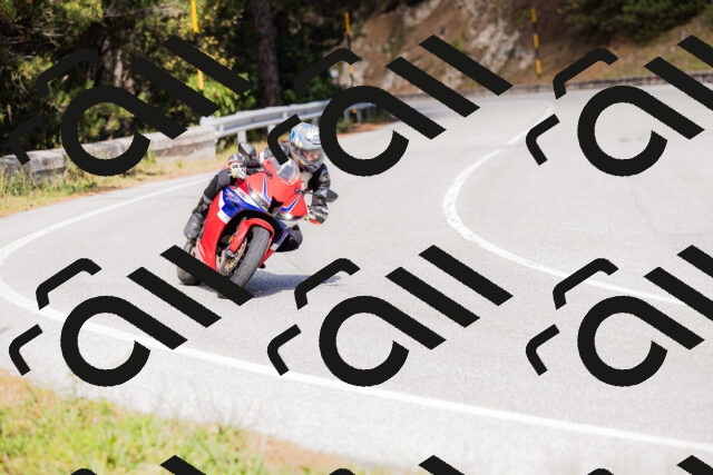 202509271453-_04A0258_c3