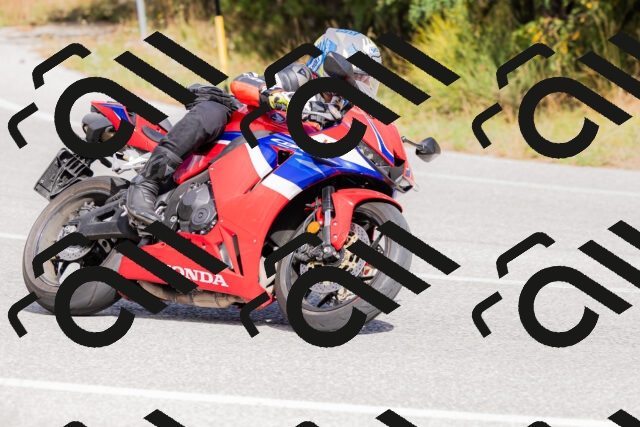 202509271453-_04A0260_c3