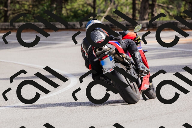 202509271453-_04A0265_c3