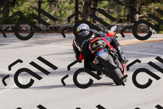 202509271453-_04A0266_c3