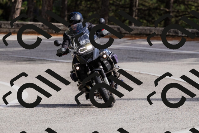 202509271454-_04A0268_c3