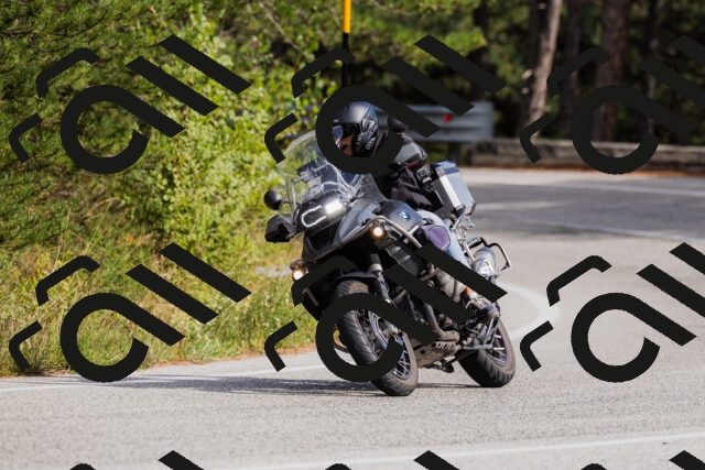 202509271454-_04A0269_c3