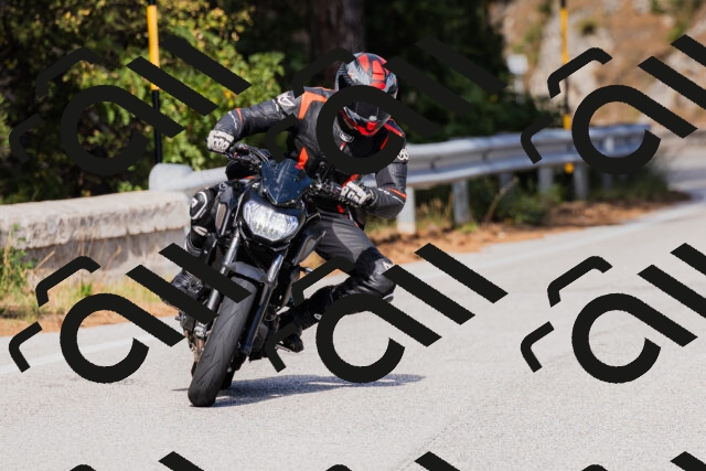 202509271454-_04A0273_c3