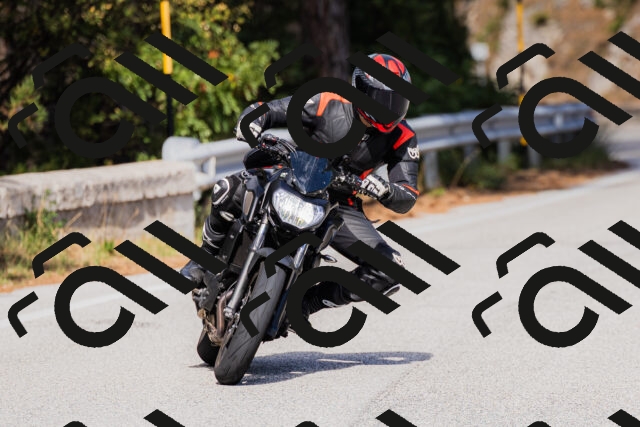 202509271454-_04A0274_c3