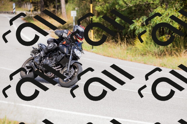 202509271454-_04A0275_c3