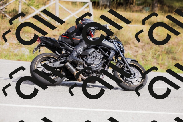 202509271454-_04A0277_c3